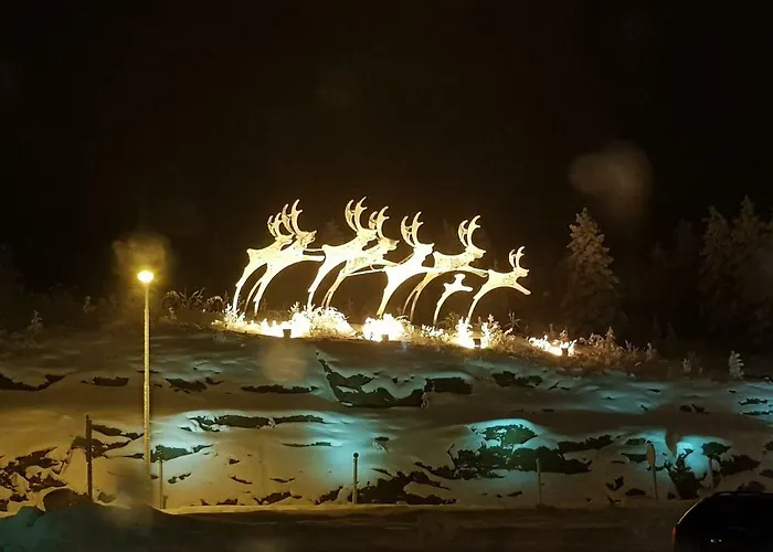 Red House Arctic Circle *